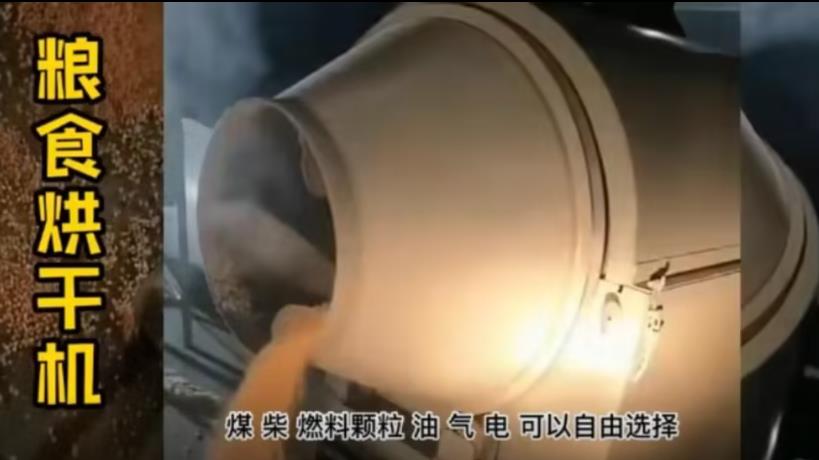 玉米烘干機(jī)干燥過(guò)程具有很強(qiáng)的殺蟲(chóng)能力