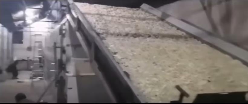 網(wǎng)帶式烘干機(jī)山藥烘干客戶(hù)現(xiàn)場(chǎng)