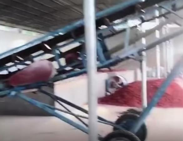 辣椒烘干機(jī)在客戶(hù)現(xiàn)場(chǎng)已投入運(yùn)作